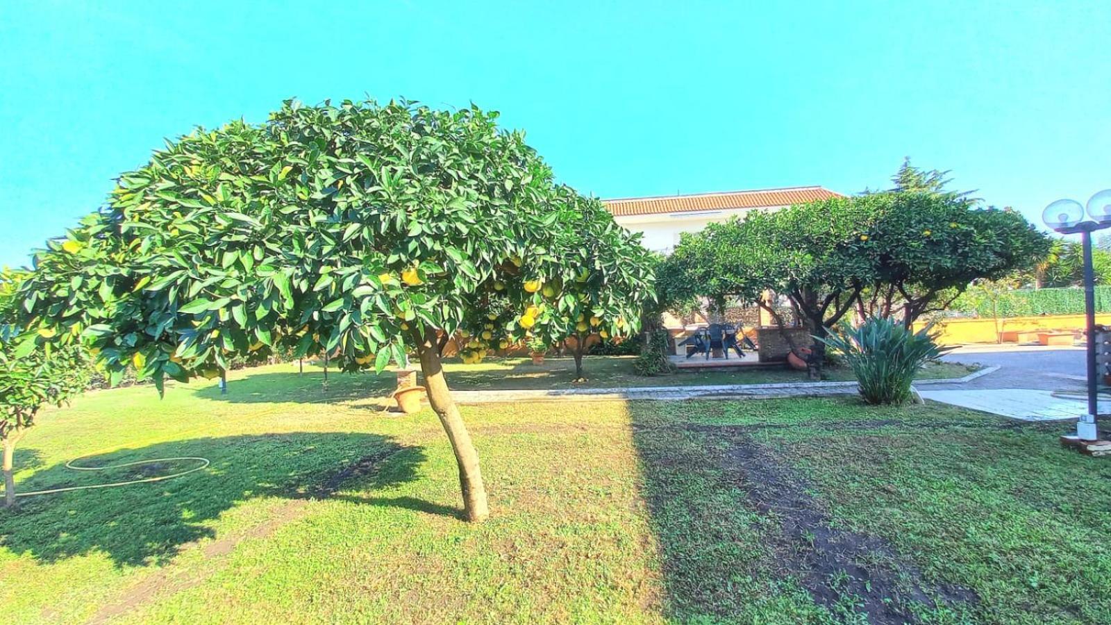 Da Ninnilla Holiday Home سكافاتي المظهر الخارجي الصورة